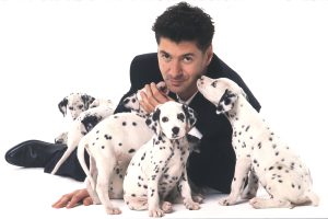 Les 11 Dalmatiens 3